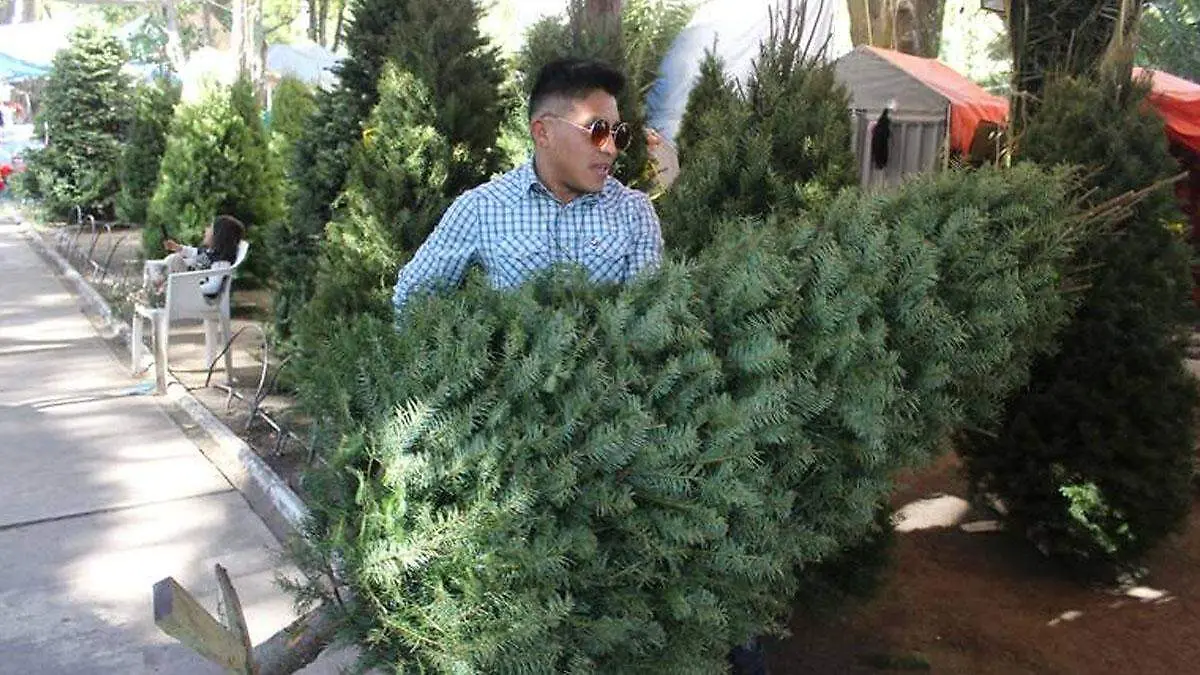 árbol de navidad para reciclar